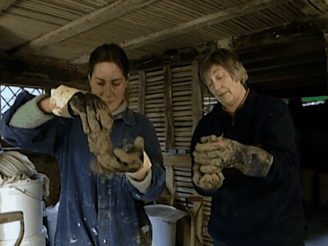 Checking Daub Project Restoration MyFixitUpLife
